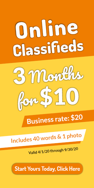 2020 online classifieds