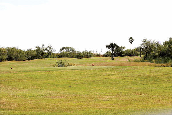 20191104 Tierra Del Sol Golf Course HMiller 9662 web