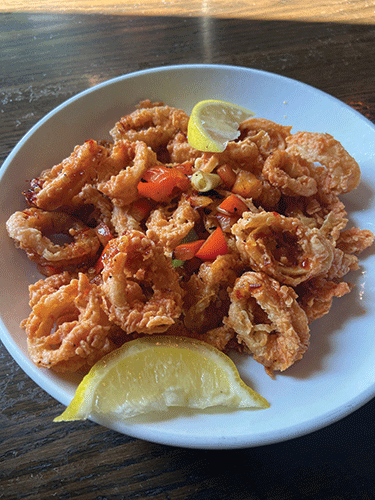 20251221 University Draft House TOV ALB 0002 web