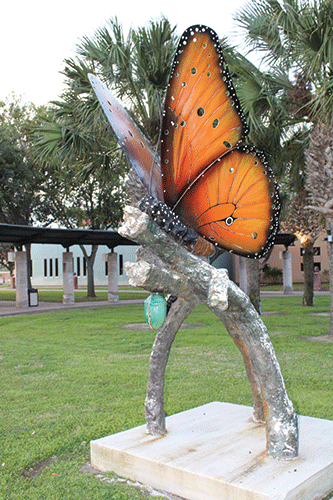 20200224 UVAL Butterfly Walk CAB 2927 web