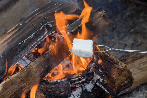 Smores Picture1