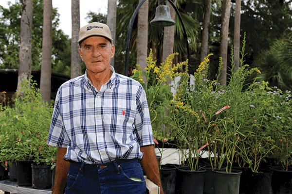 20251231 Quinta Mazatlan THursday NIght Live M web