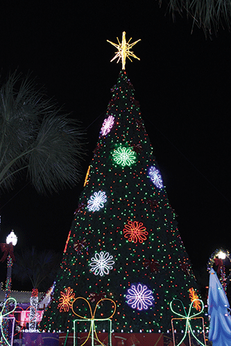 20191206 Hidalgo Festival of Lights ALB 0839 web