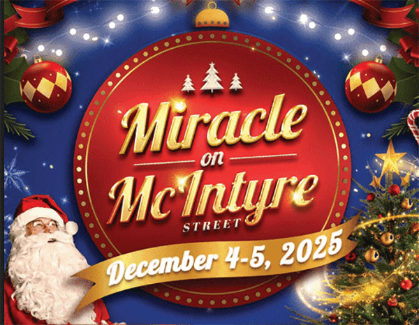 Screenshot 2025 12 01 110154 web