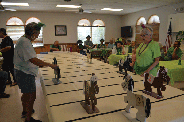 Royal Palms DSC 0630 web