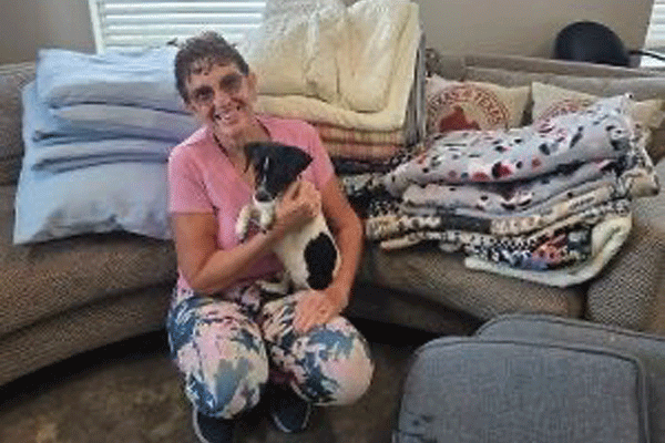 Mission Animal Shelter 02 web