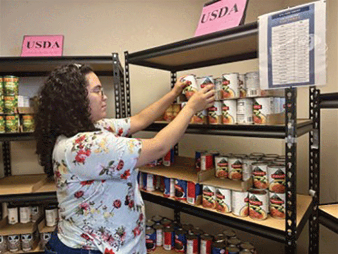 STC Gift Card Picture1 USE THIS ONE web